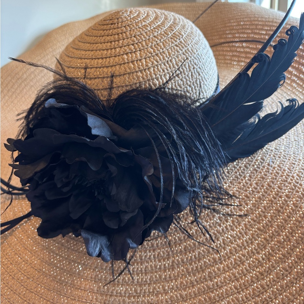 Elegant Black Feathered Hat
